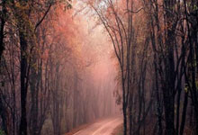 南宫28:巡回赛24冠!丁俊晖创造斯诺克传奇,中国一哥无愧亚洲历史第一人.