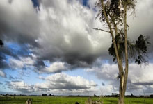 南宫28：打几分？首次入选法国队，19岁杜埃延续传统在全队面前清唱.