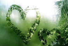 南宫28：韩国棋院就LG杯争议致歉 将与中日棋院讨论统一规则.