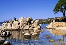 南宫28：[NBA]东契奇快攻背传 詹姆斯跟进战斧劈扣.